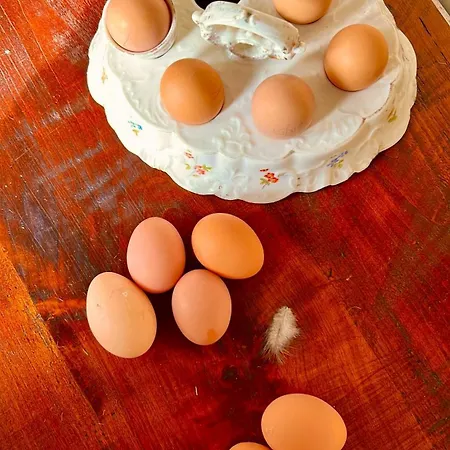 Апартаменты Manoir De La Barre *