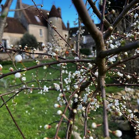 Apartament Manoir De La Barre *