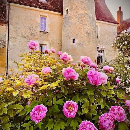 Manoir De La Barre Apartment Ceton