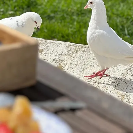 Manoir De La Barre * Ceton