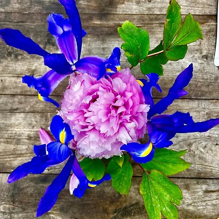 Appartement Manoir De La Barre Ceton