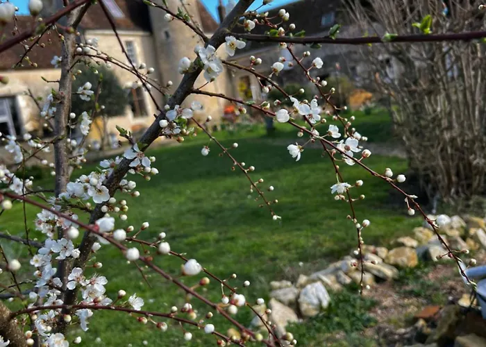 Manoir De La Barre Ceton