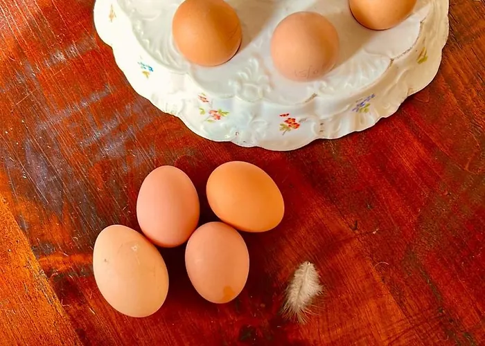 Апартаменты Manoir De La Barre *