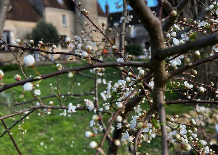 Апартаменты Manoir De La Barre *