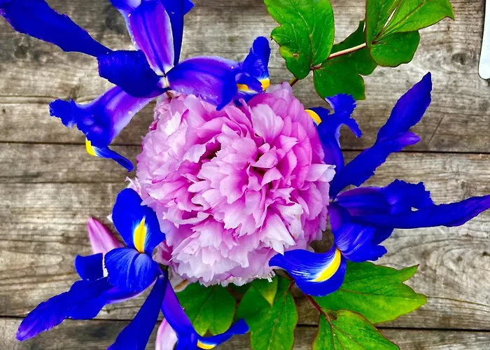 Апартаменты Manoir De La Barre Ceton