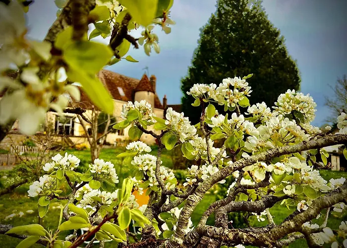 Manoir De La Barre * Ceton